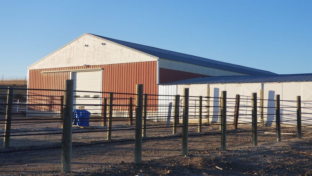 Montana Dream Property With Unlimited Options on 48+ Acres In Sidney: 12353 County Rd 348, Sidney, MT 59270